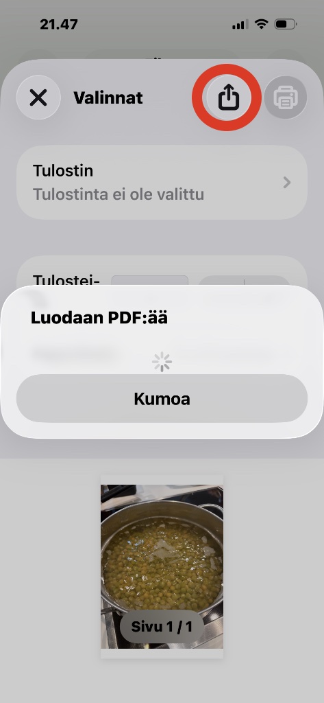Kuvaruutukaappaus iPhonen tulostusvalikosta. PDF:n luonnin saa käyntiin painamalla jakamistoimintoa uudelleen.