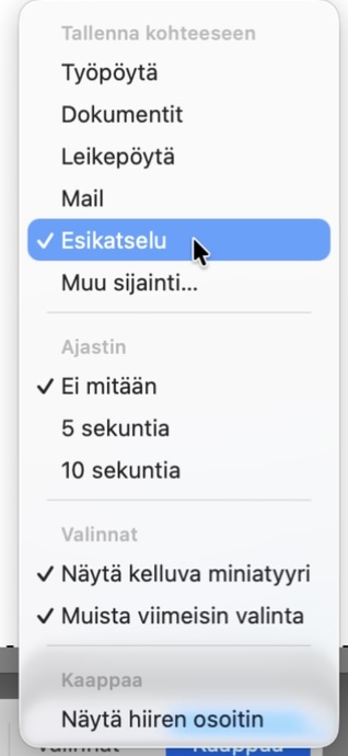 Kuvaruutukaappauksen asetukset avattuna