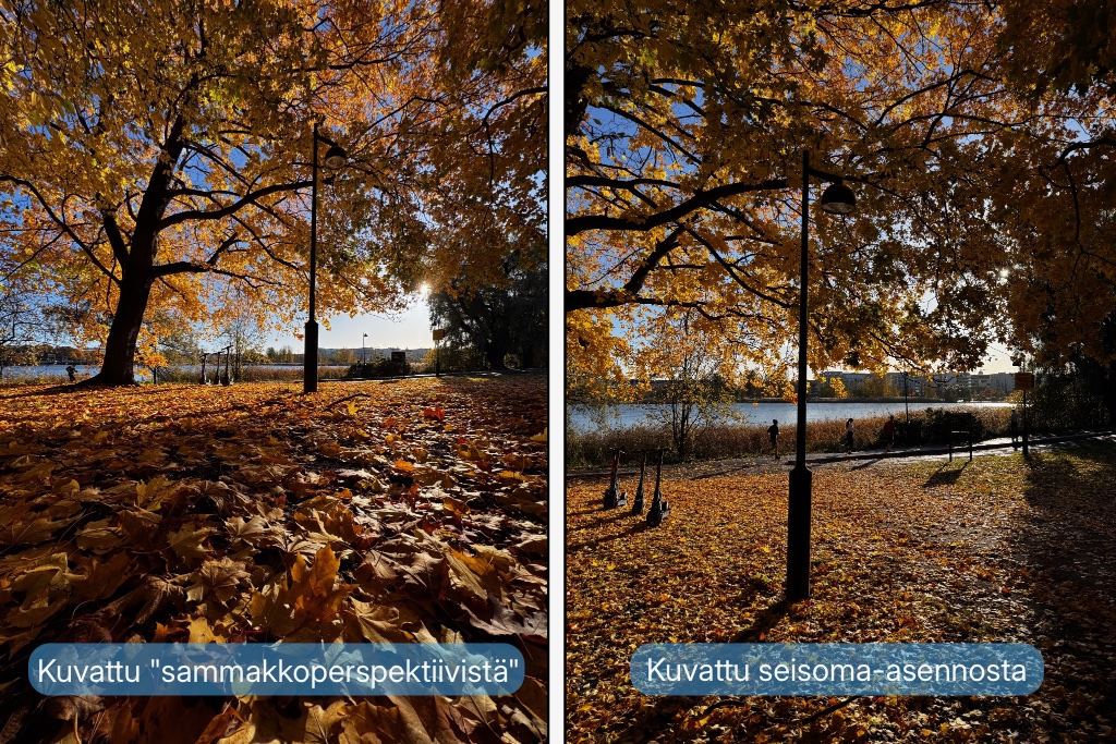 Hesperian puisto Helsingissä syksyllä kuvattuna kahdesta eri perspektiivistä.